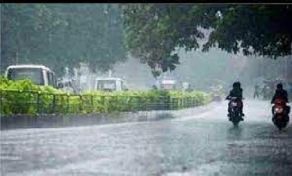 202391333231000017202391333231000007-r6losgt31np242xjcga2gji11rd9513mr8hdyi31gu