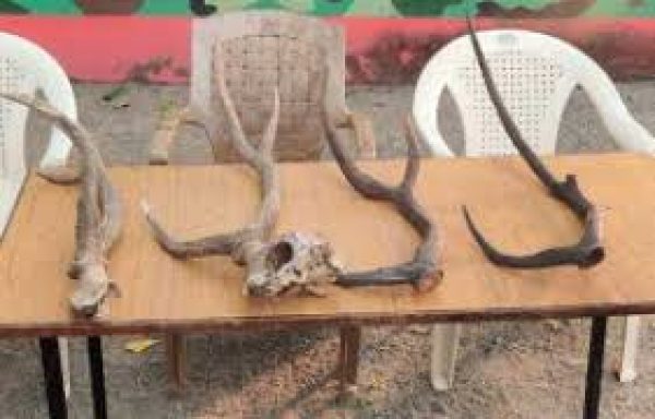 images-3-5-r6fij5felqhwsdafeu7qkn94xsu4iyfi0ebly5prls