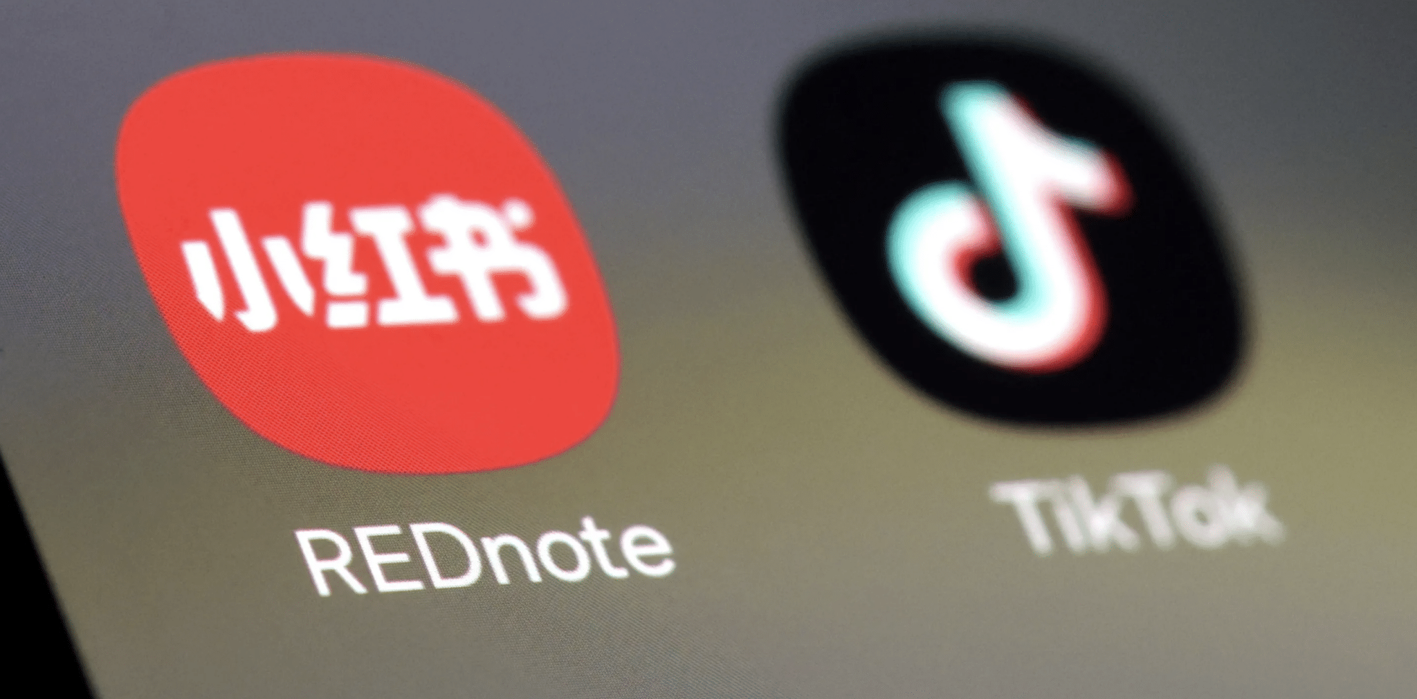 rednote-tiktok