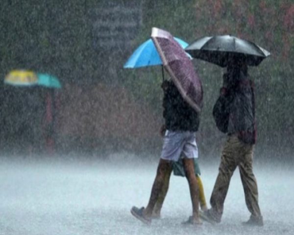 zm7531-r6i5rlv6ffsntt9jmt3v5hiyomes355ypoklreb54w (1)