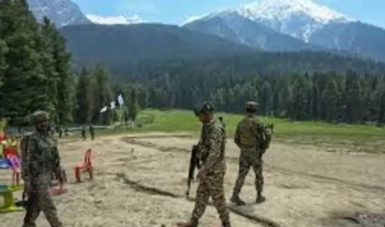 202507183455553-517763