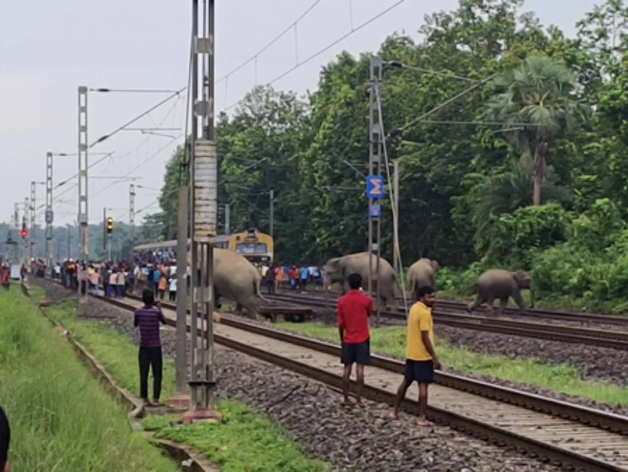 202507183456249-620169