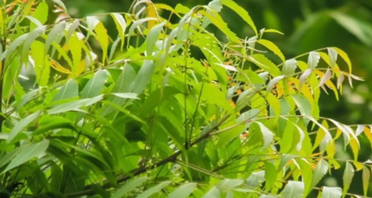 202507203457188-144168