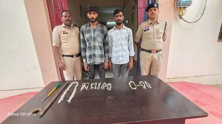 4781825-untitled-33-copy