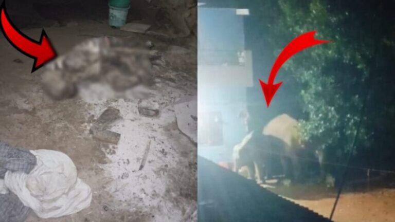 WhatsApp-Image-2025-07-15-at-2.12.37-PM-860x484