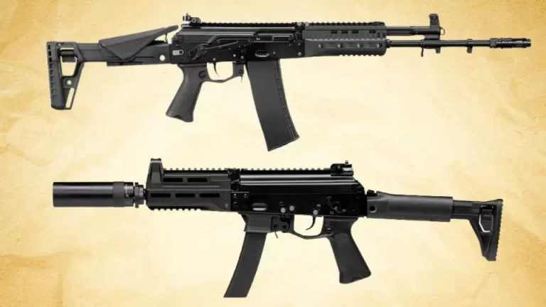 ak-19-and-ppk-20-957656290