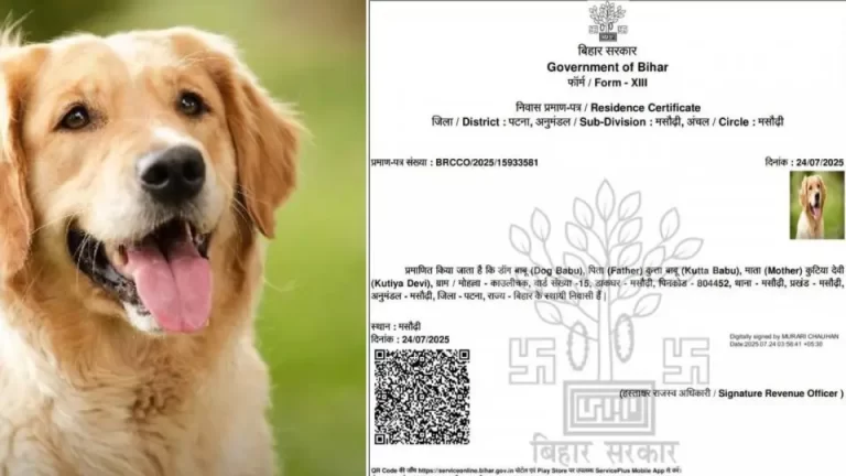 patna-dog-certificate-1715577089