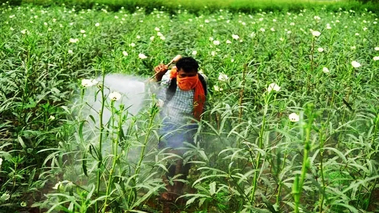 side-effects-of-spurious-Agriculture-Inputs