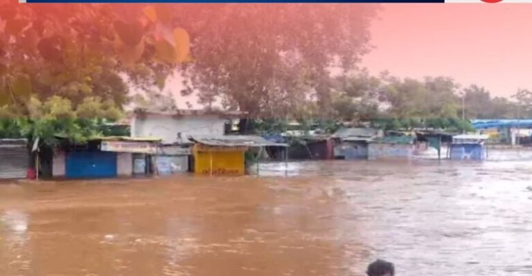 रायपुर-महापौर-के-बेटे-पर-9-780x405