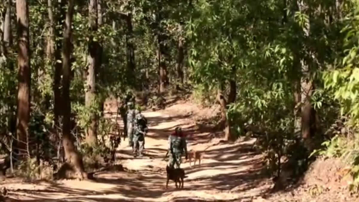 1200-675-24766693-thumbnail-16x9-ied