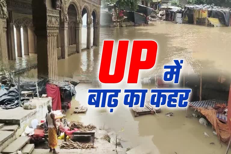 UP BOX22