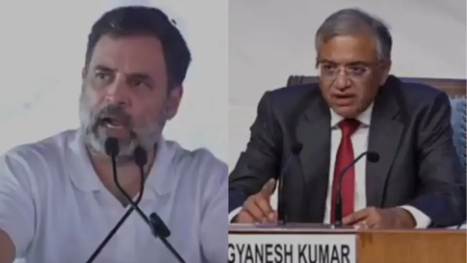 cec-said-to-rahul-gandhi-1304888492