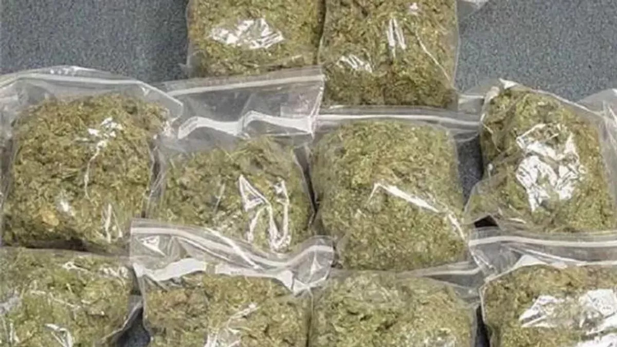 ganja22