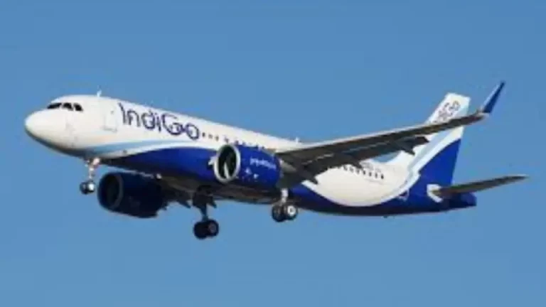 indigo-1736481363