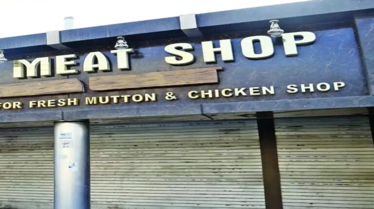 meat