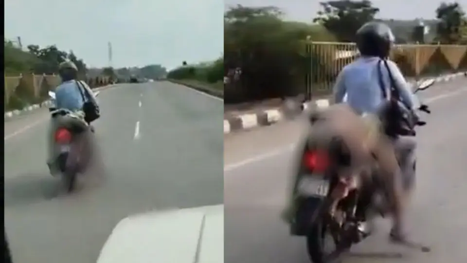 national-highway-accident-218894426