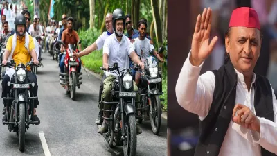 rahul box