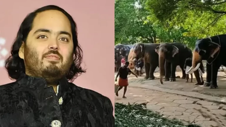 supreme-court-orders-sit-probe-into-acquisition-of-animals--especially-elephants-in-vantara-in-jamna-1219486064