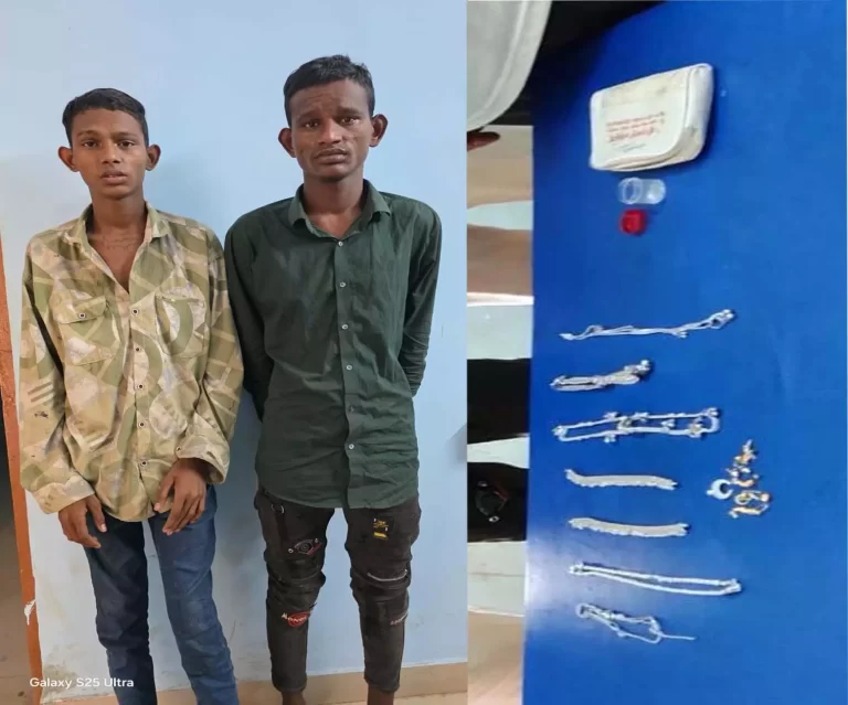 4862127-untitled-6-copy