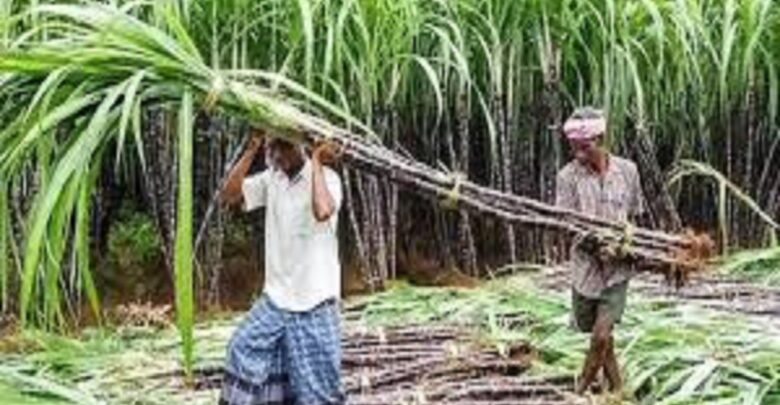 image - 2025-09-29T204037.735