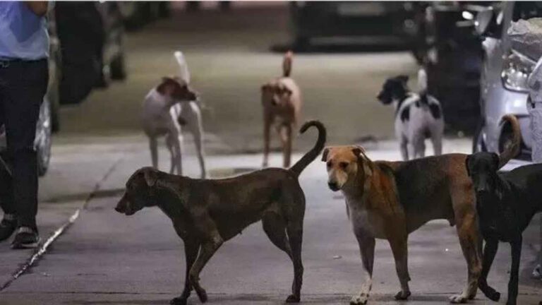 Untitled-design-2025-11-21T113339.615_11zon