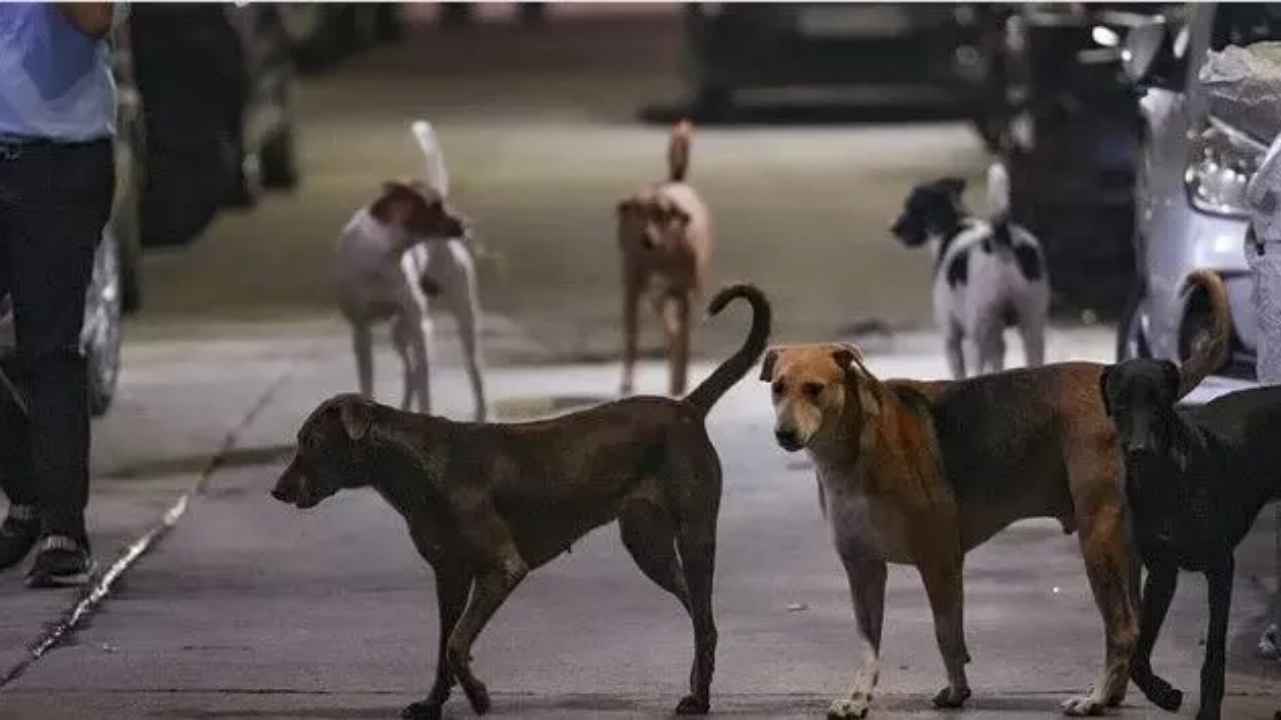 Untitled-design-2025-11-21T113339.615_11zon