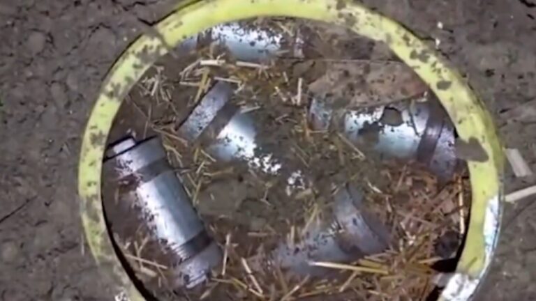 West-Bengal-police-recover-70-socket-bombs-hidden-in-plastic-jars-in-Murshidabad