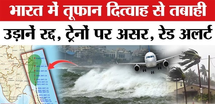 WhatsApp Image 2025-11-30 at 2.27.47 PM