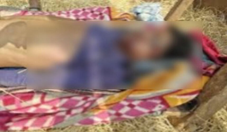 WhatsApp-Image-2025-._imresizer-860x502