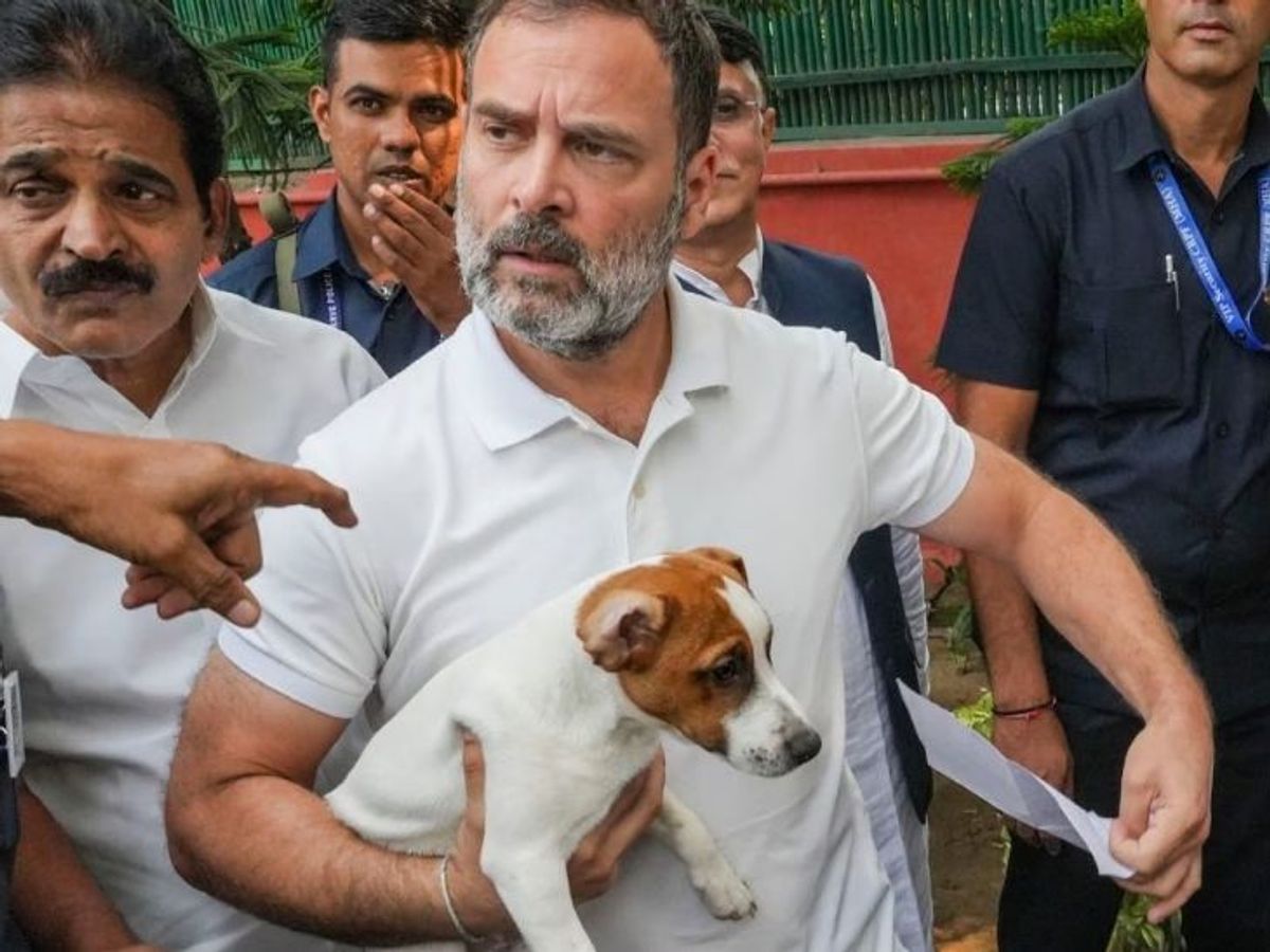 image-resize-color-correction-and-ai-15_1754983931