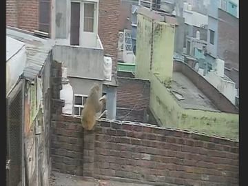 1dc50668-74cc-469e-a9a3-dba203d9583d_1767176612490