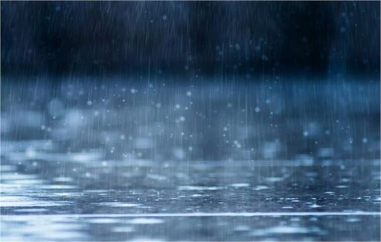 2026_1image_08_36_226214206rain-ll