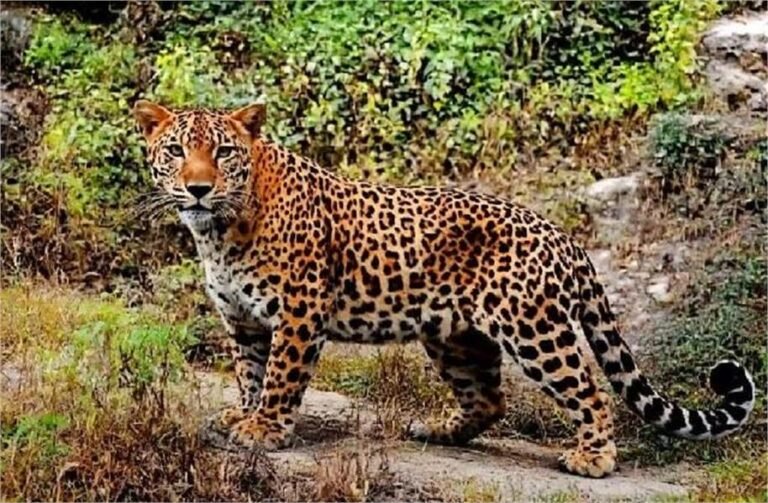 2026_1image_10_18_0251599084-ll