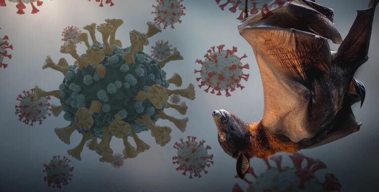 2026_1image_10_47_538550969naipah