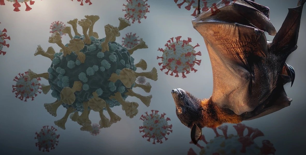 2026_1image_10_47_538550969naipah