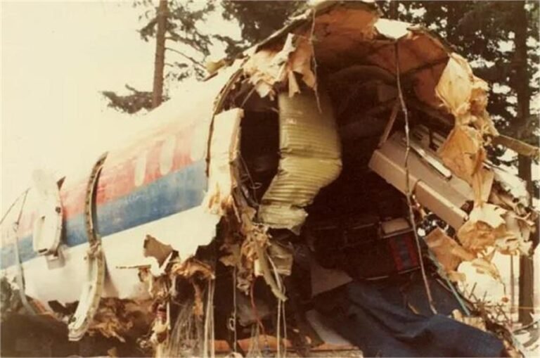 2026_1image_16_04_342814807airline-ll