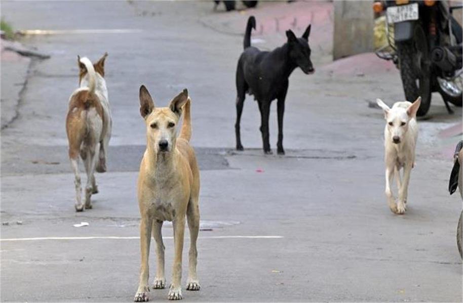 2026_1image_23_46_01986570800-ll