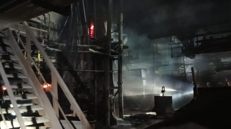 WhatsApp Image 2026-01-13 at 1.21.08 PM