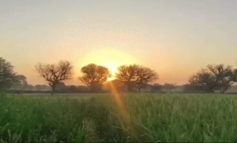 image-2026-01-22T095421.265-780x470