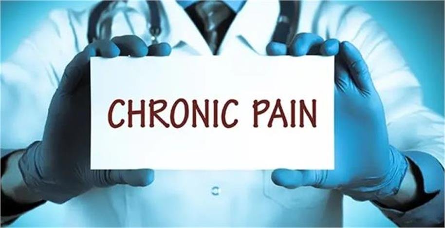 2026_2image_11_36_598862381chonic-ll