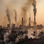 2026_2image_11_44_215927104poli-ll