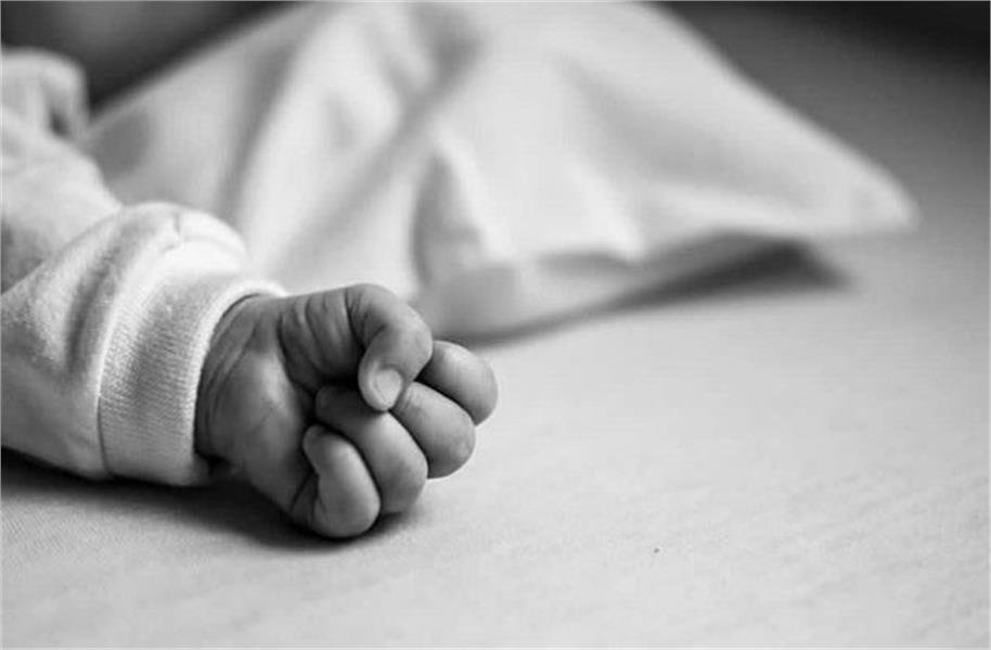 2026_2image_16_14_17351785298-ll