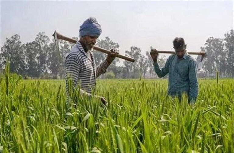 2026_2image_17_21_319302556kisan-ll