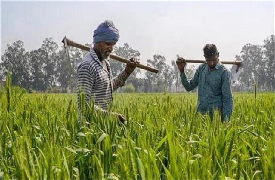 2026_2image_17_21_319302556kisan-ll