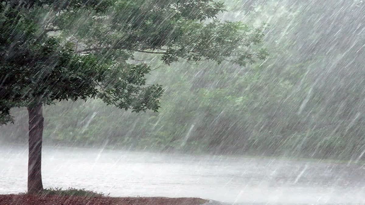1200-675-23805768-thumbnail-16x9-rain
