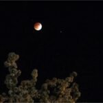 2026_3image_09_06_203355555chandragarahn-ll