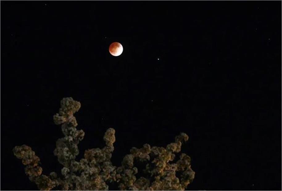 2026_3image_09_06_203355555chandragarahn-ll