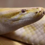 Screenshot_2026-03-22-16-35-52-16_40deb401b9ffe8e1df2f1cc5ba480b12