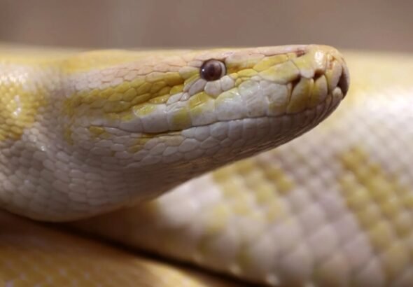 Screenshot_2026-03-22-16-35-52-16_40deb401b9ffe8e1df2f1cc5ba480b12