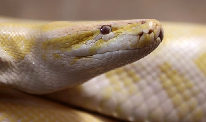 Screenshot_2026-03-22-16-35-52-16_40deb401b9ffe8e1df2f1cc5ba480b12